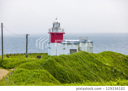 [Hokkaido_Nemuro_Hanasaki Port] Nemuro's Top 10 Scenic Views: Hanasaki Lighthouse and Nemuro Kurumaishi Stone with Rugosa Roses in Bloom (July) 129336182