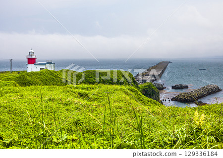 [Hokkaido_Nemuro_Hanasaki Port] Nemuro's Top 10 Scenic Views: Hanasaki Lighthouse and Nemuro Kurumaishi Stone with Rugosa Roses in Bloom (July) 129336184