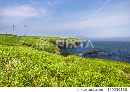 [Hokkaido_Nemuro_Hanasaki Port] Nemuro's Top 10 Scenic Views: Hanasaki Lighthouse and Nemuro Kurumaishi Stone with Rugosa Roses in Bloom (July) 129336186