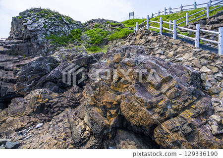 [Hokkaido_Nemuro_Hanasaki Port] Nemuro's Top 10 Scenic Views: Hanasaki Lighthouse and Nemuro Kurumaishi Stone with Rugosa Roses in Bloom (July) 129336190