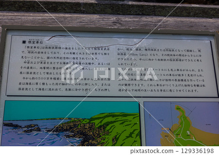 [Hokkaido_Nemuro_Hanasaki Port] Nemuro's Top 10 Scenic Views: Hanasaki Lighthouse and Nemuro Kurumaishi Stone with Rugosa Roses in Bloom (July) 129336198
