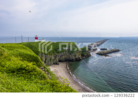 [Hokkaido_Nemuro_Hanasaki Port] Nemuro's Top 10 Scenic Views: Hanasaki Lighthouse and Nemuro Kurumaishi Stone with Rugosa Roses in Bloom (July) 129336222