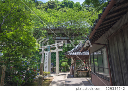 Summer scenery of Chikubushima, a sacred place of prayer 129336242