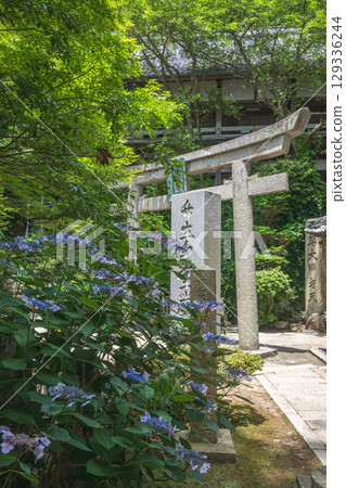 祈禱聖地竹生島的夏日風景 祈禱聖地竹生島的夏日風景 129336244