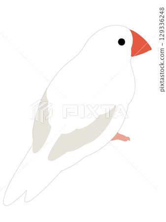 Simple illustration of a white java sparrow 129336248