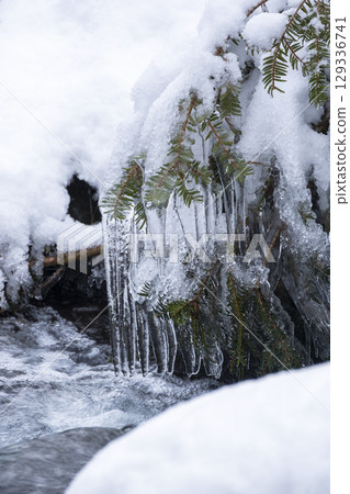 Frozen clear stream (Oyamakiyazawa mountain stream) Frozen clear stream (Oyamakiyazawa mountain stream) 129336741