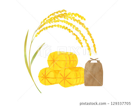 Golden rice ears and rice bales, rice bag, watercolor illustration set Golden rice ears and rice bales, rice bag, watercolor illustration set 129337705