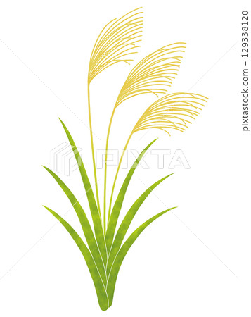 Simple suki 129338120