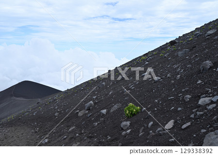 富士山，攀登，富士宮路線，靜岡縣 129338392