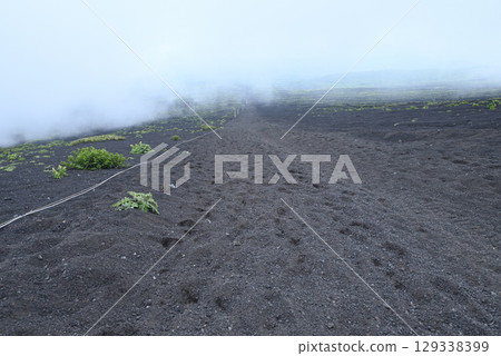 Mount Fuji, climbing, Fujinomiya Route, Shizuoka Prefecture Mount Fuji, climbing, Fujinomiya Route, Shizuoka Prefecture 129338399