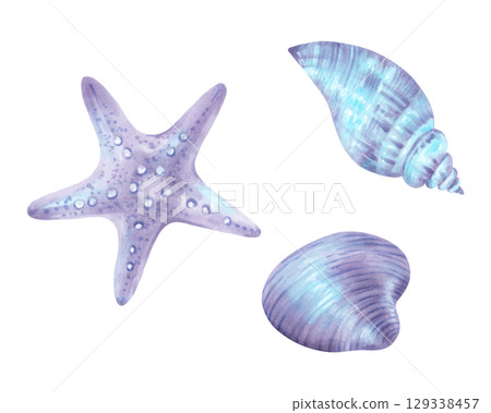 Starfish shell and conch. Watercolor and marker illustration. Hand drawn isolated art. Wild underwater life. Snails for menu design, children's room, tourism, guidebook. Exotic ocean fauna. 129338457