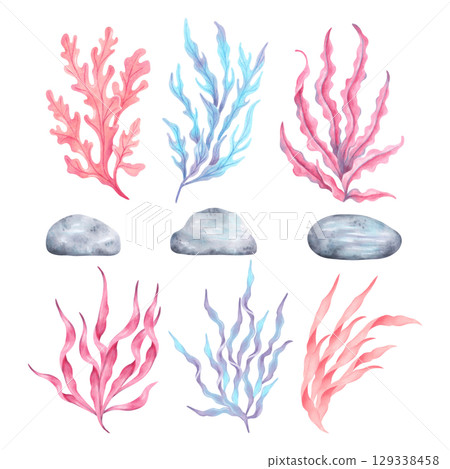 Set of seaweed with stones. Watercolor illustration. Ocean botanical underwater algae. Hand drawn isolated image. Natural form of marine flora. Plants clipart for travel, tourism, childrens design. 129338458