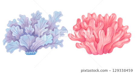 Peach, purple coral. Watercolor style marker illustration. Ocean coral reefs. Clipart underwater animals of the seabed. Hand drawn isolated image. Exotic marine ecosystem for packaging, travel guides. 129338459