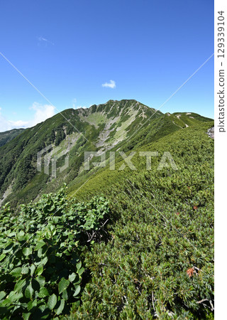 Climbing Mount Senjogatake, Yamanashi Prefecture Climbing Mount Senjogatake, Yamanashi Prefecture 129339104