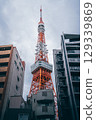 Travel landscape of Tokyo Tower, Japan landmark 129339869