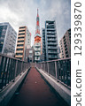Travel landscape of Tokyo Tower, Japan landmark 129339870