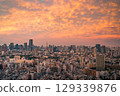 Tokyo Skyline with Tokyo Tower at Blue Hour, Japan 129339876