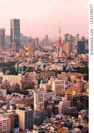 Tokyo Skyline with Tokyo Tower at Blue Hour, Japan 129339877