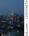 Tokyo Skyline with Tokyo Tower at Blue Hour, Japan 129339879