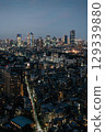 Tokyo City Skyline at Sunset 129339880