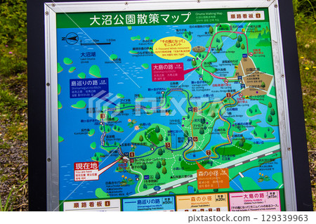 [Hokkaido_Hakodate_Onuma Park] Water lilies and nuphars welcome you at Onuma Quasi-National Park 129339963