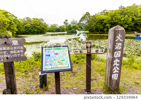 [Hokkaido_Hakodate_Onuma Park] Water lilies and nuphars welcome you at Onuma Quasi-National Park 129339964
