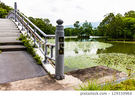 [北海道_函館_大沼公園] 睡蓮與睡蓮在大沼國定公園歡迎您 129339968