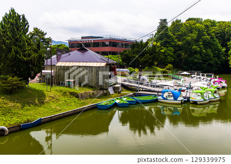 [Hokkaido_Hakodate_Onuma Park] Water lilies and nuphars welcome you at Onuma Quasi-National Park 129339975