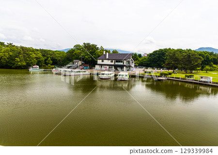 [Hokkaido_Hakodate_Onuma Park] Water lilies and nuphars welcome you at Onuma Quasi-National Park 129339984
