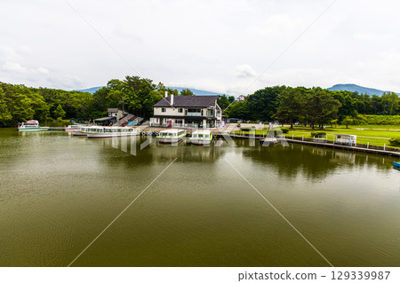 [Hokkaido_Hakodate_Onuma Park] Water lilies and nuphars welcome you at Onuma Quasi-National Park 129339987