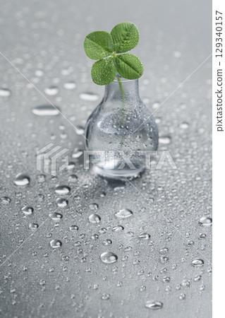 一片四葉草放在一塊有水滴的光滑板上 一片四葉草放在一塊有水滴的光滑板上 129340157