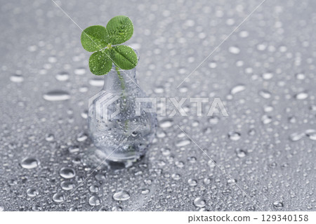 一片四葉草放在一塊有水滴的光滑板上 一片四葉草放在一塊有水滴的光滑板上 129340158