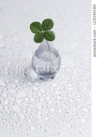 A four-leaf clover placed on a glossy board with water droplets 129340160