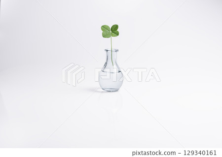 A four-leaf clover in a vase placed on a white table 129340161