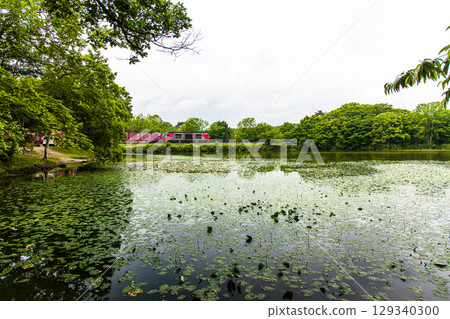 [Hokkaido_Hakodate_Onuma Park] Onuma Quasi-National Park and Hakodate Main Line 129340300