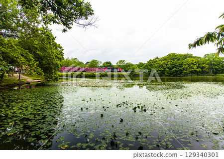 [Hokkaido_Hakodate_Onuma Park] Onuma Quasi-National Park and Hakodate Main Line 129340301