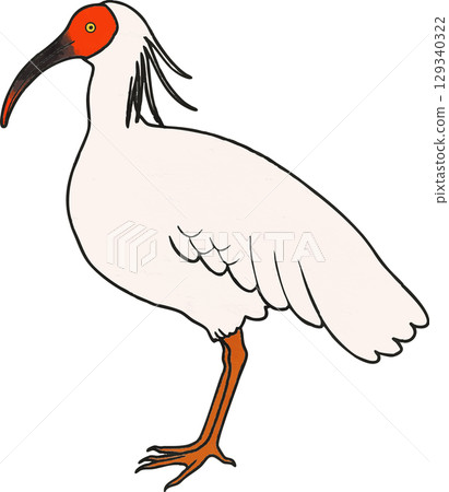 Japanese crested ibis illustration material vector Japanese crested ibis illustration material vector 129340322