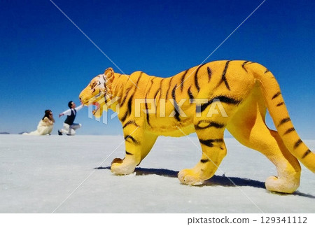 新郎新娘在烏尤尼鹽沼拍攝老虎打鬥的特技表演 129341112