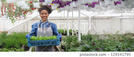 Smiling african american lady in apron and gloves carries box with sprouts in greenhouse with many bright flowers and greenery, sun flare, copy space 129341795