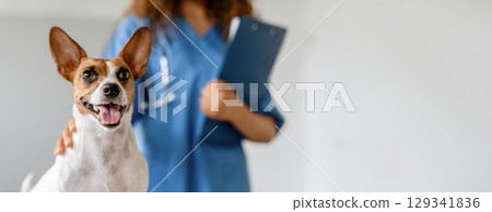 Smiling Jack Russell Terrier in focus with blurred background featuring woman veterinarian holding clipboard, symbolizing pet healthcare Smiling Jack Russell Terrier in focus with blurred background featuring woman veterinarian holding clipboard, symbolizing pet healthcare 129341836