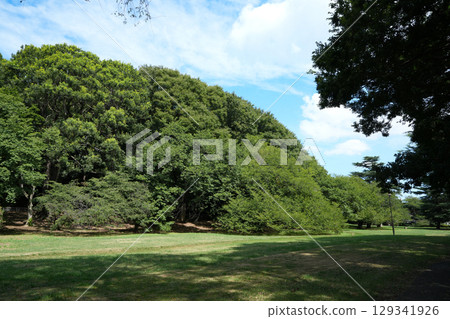 砧公園 砧公園 129341926