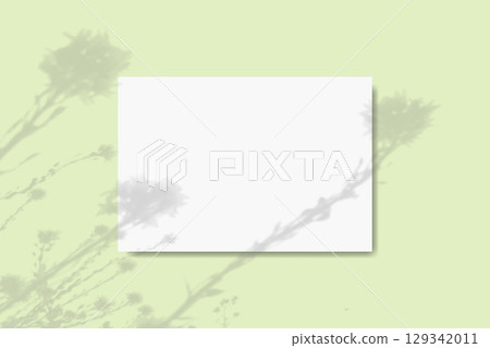 Natural light casts the shadow of wildflowers on a horizontal sheet of textured white paper on a green table background. Mockup 129342011