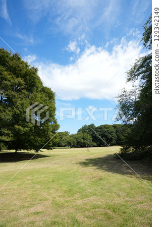 砧公園 129342149