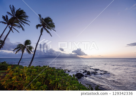Stunning Hawaii ocean sunset with silhouettes of palm trees swaying against a vibrant sky 129342336