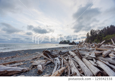 Pacific Ocean coast near Olympic National Park 129342338