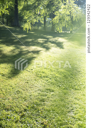 新綠閃耀的公園（蒜山高原） 129342422