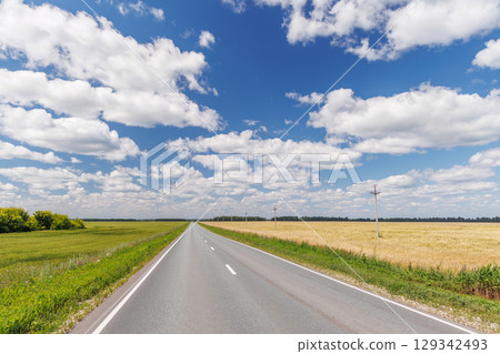 Endless asphalt road stretching through a summer landscape of green fields under a sunny sky 129342493