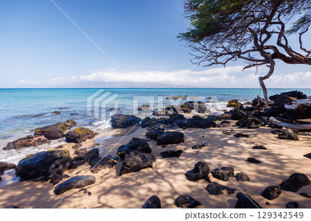 Beautiful Maui landscape in Hawaii Beautiful Maui landscape in Hawaii 129342549