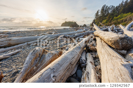 Pacific Ocean coast near Olympic National Park 129342567