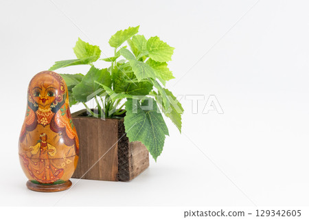 Matryoshka 129342605